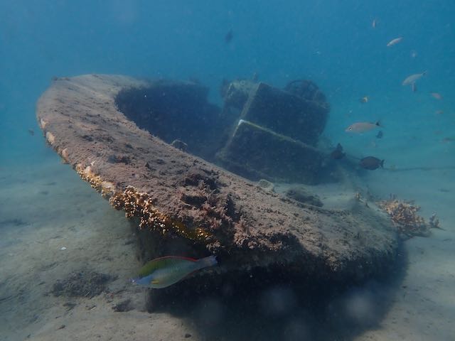 A New Scuba Diver's Guide to Diving the Blue Heron Bridge