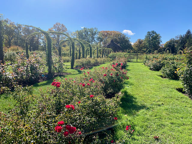 A Day in Hartford, Connecticut - Freedom Tour Travel